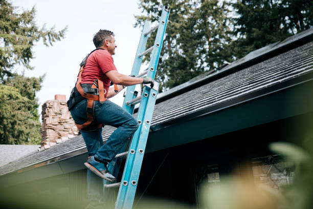 Best Green or Eco-Friendly Roofing Solutions  in Fowler, MI