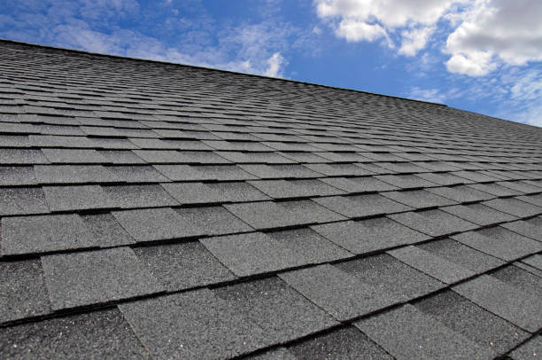 Best Roof Insulation Installation  in Fowler, MI